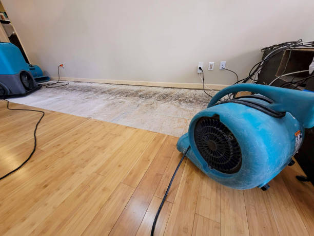 Professional Basement Flood Cleanup technician working in Saint Paul Park, MN